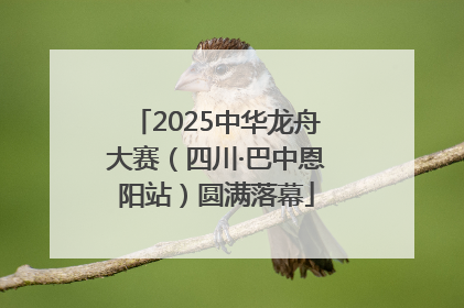 2025中华龙舟大赛（四川·巴中恩阳站）圆满落幕